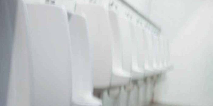 Peut-on attraper l’infection à chlamydia aux toilettes publiques ? Le-monde-des-2-à-7-ans